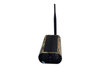 PDDHKK 2,4 G WIFI Wireless Jagt Kamera Sol IP-Kamera Dyreliv Trail Kamera IR Night Vision Dyr Foto-Fælder Camouflage