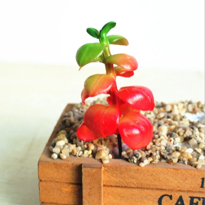 12Pcs Blandet Mini Simulering Plast Miniature Saftige Planter, Kunstige Kaktus Kaktus DIY Materialer Haven Hjem Kontor Indretning