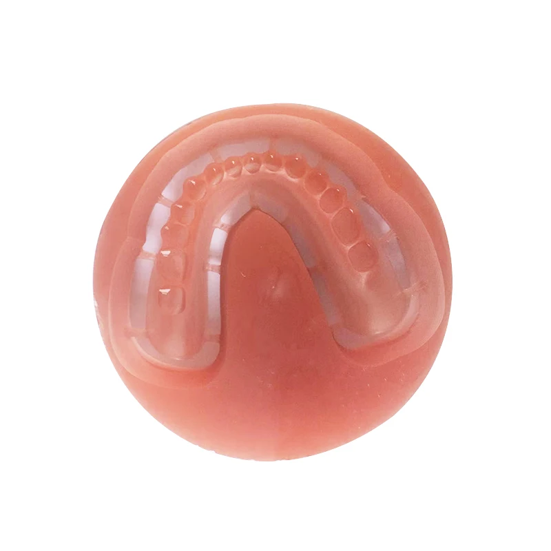 98*30mm Dental Lab Materialer PMMA Blokke PinkA/PinkB/PinkC for CAD/CAM-Wieland-System Dental PMMA Disk Tomme