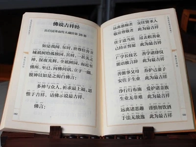 Buddha sagde lovende Sutra med Pin-Yin / Buddhistiske bøger i Kinesisk Edition