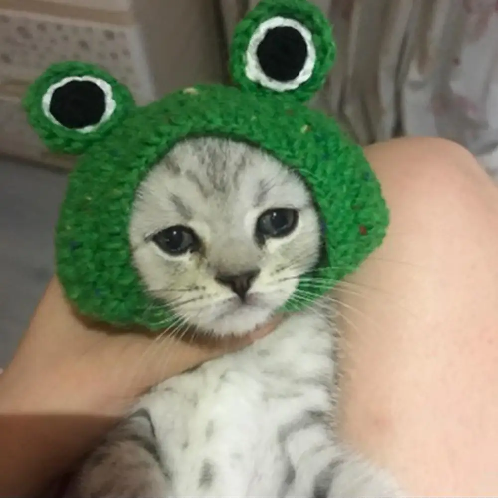 DIY Kat Hund Kreative Frog Design Hat Strikket Hat Gave til Kæledyr