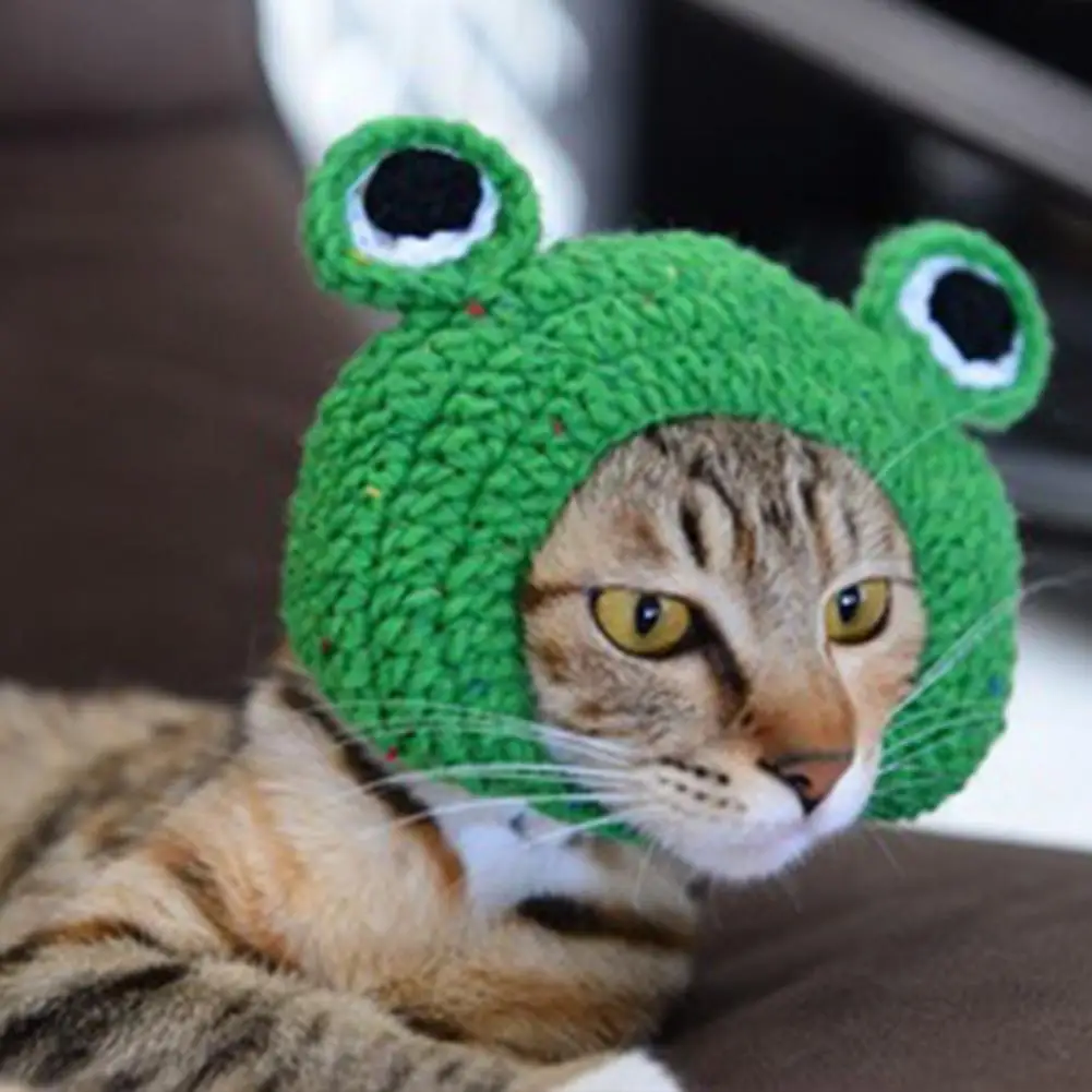 DIY Kat Hund Kreative Frog Design Hat Strikket Hat Gave til Kæledyr