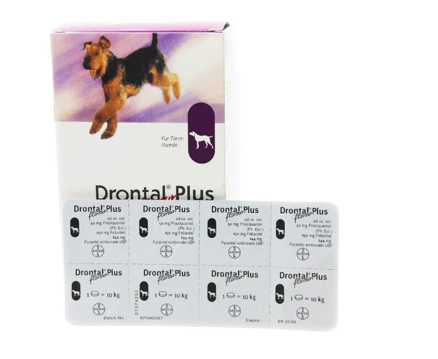 Tremble vokse op Afdæk På tilbud! Drontal Plus For Dog 8/32/104 Tabletter (Bændelorm Dewormer for  Hunde) - Top > Iderammer.dk