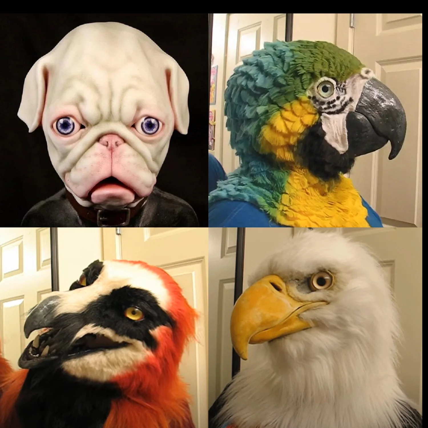 Eagle maske eagle hovedbeklædning halloween dyr bulldog papegøje gammel mand ung mand hovedbeklædning maske for cosplay parti