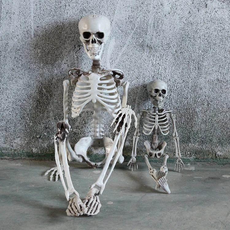 Halloween Fest Dekoration Poseable 90cm Menneskelige Kranium Anatomisk Skelet Skelet Part Prop Indretning