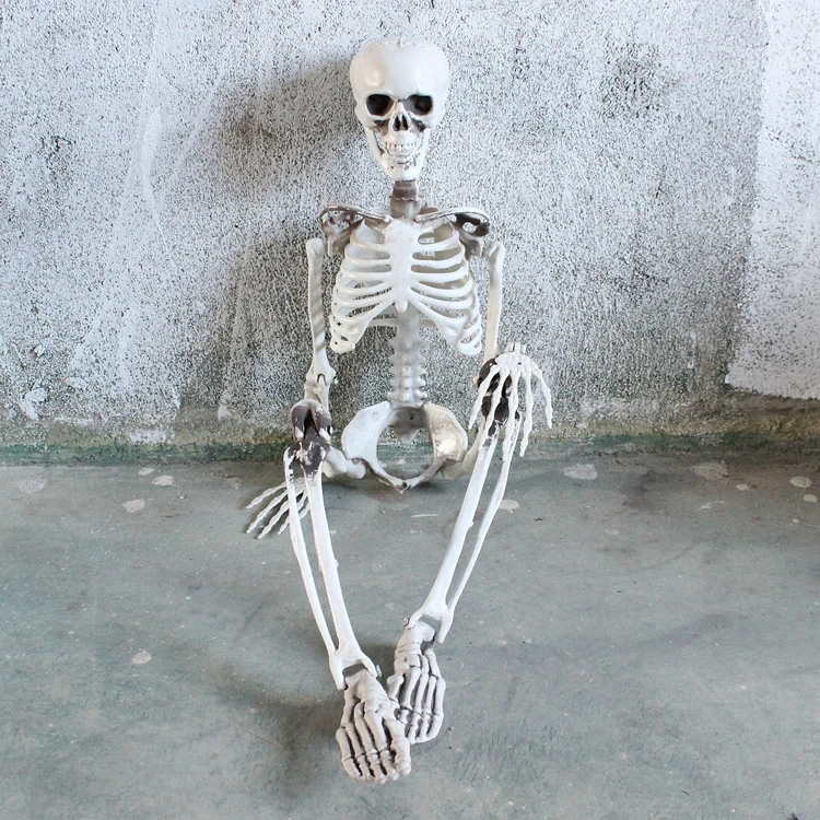 Halloween Fest Dekoration Poseable 90cm Menneskelige Kranium Anatomisk Skelet Skelet Part Prop Indretning