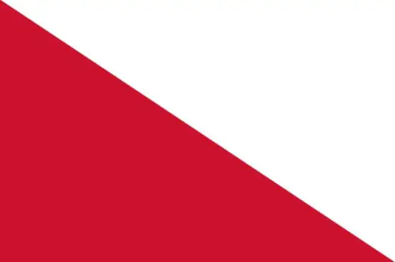 Holland Utrecht City Flag 3ft x 5ft Polyester Banner, der Flyver 150* 90cm Tilpasset udendørs