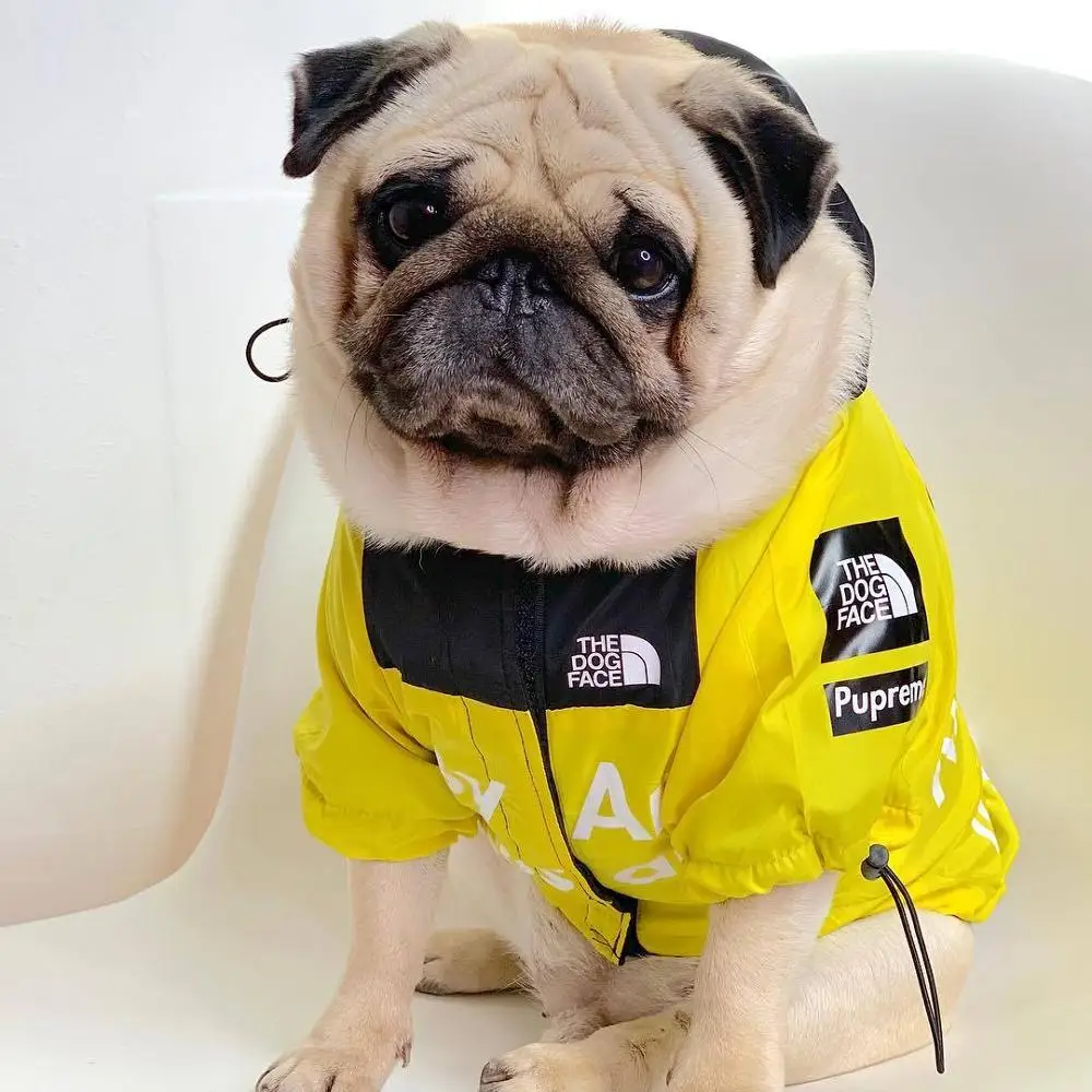 Hund Tøj Adidog Fransk Bulldog Pupreme Shirt Dog Vindjakke Sport Retro Dog Hættetrøjer Pet Tøj Ropa Perro Hvalp Hund Mops