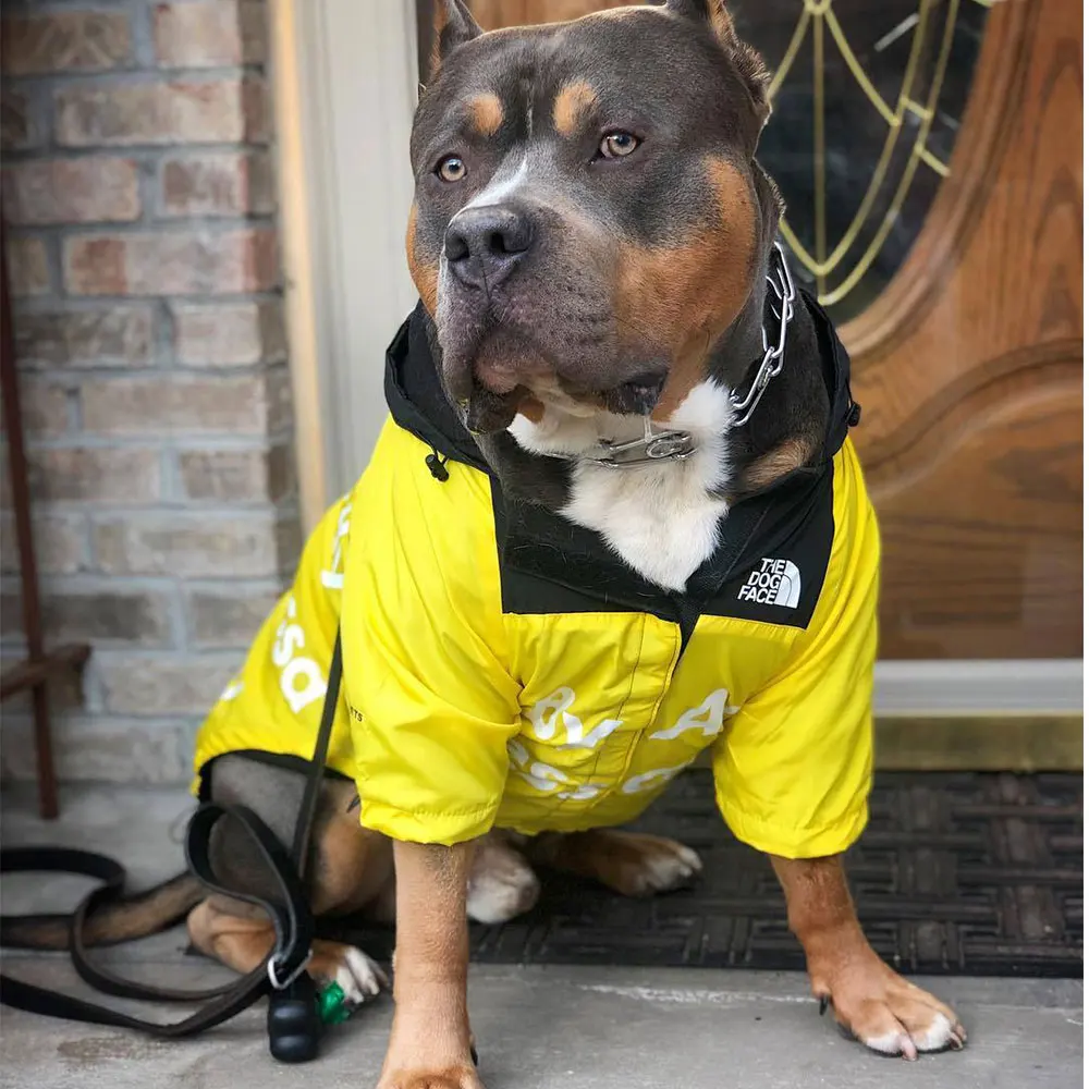 Hund Tøj Adidog Fransk Bulldog Pupreme Shirt Dog Vindjakke Sport Retro Dog Hættetrøjer Pet Tøj Ropa Perro Hvalp Hund Mops