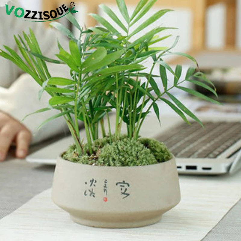 Kinesisk Stil Saftige Plantning Gryder Keramiske Proces Indendørs Flower Pot Jardin Desktop Potteplanter Holder Hjem Dekoration Mini Macetas
