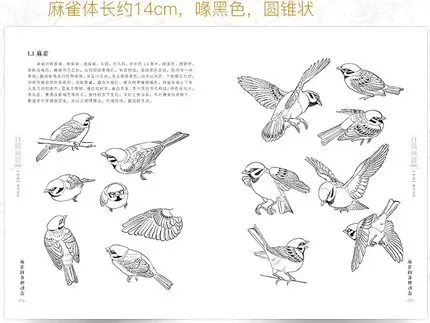 Kinesiske Linje tegning, maleri kunst bog for begyndere 5000 Tilfælde Kinesiske fugl, Dyr landskab gongbing maleri Lærebog