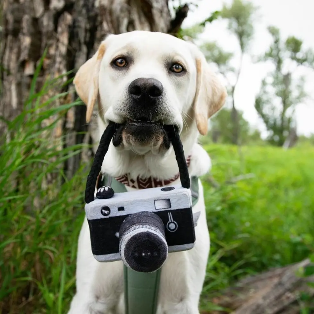 Populære Hund Kamera Foto Rekvisitter, Lyd Legetøj Cute Pet Plys Legetøj Pet Bb Legetøj Mode Trend Smuk Holdbar
