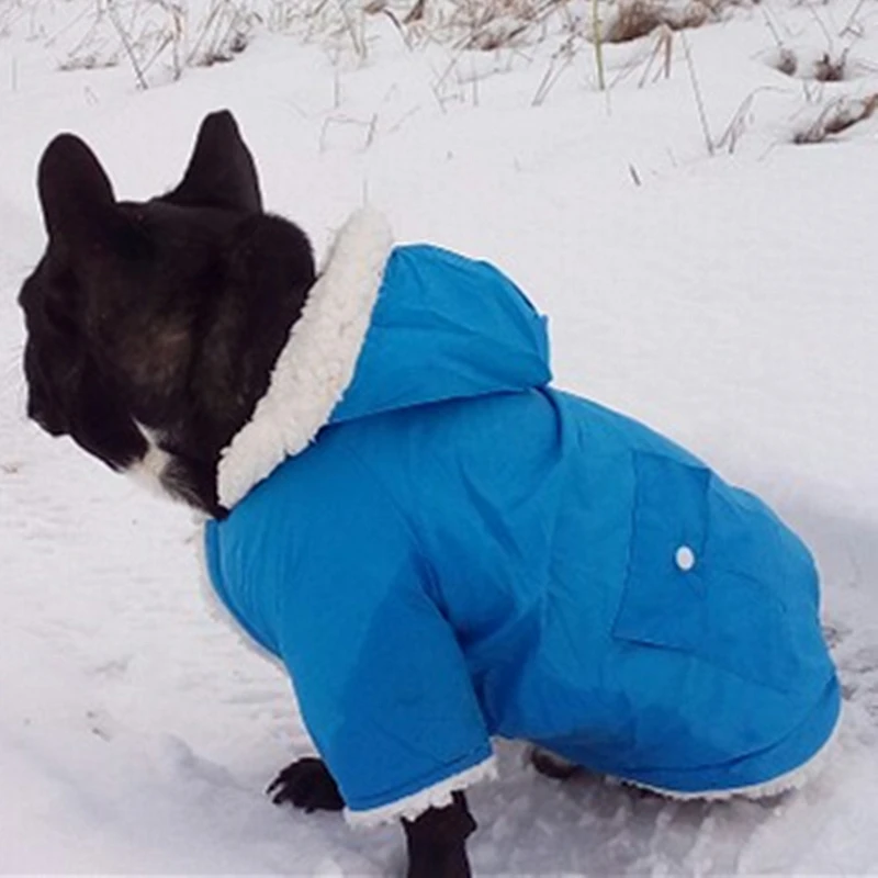 Vinteren Dog Tøj Til Små Hunde Varm Hund Ned Parkacoats Tøj Til fransk Bulldog Pug Tøj Vinter Chihuahua Frakker 20Q