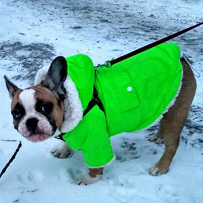Vinteren Dog Tøj Til Små Hunde Varm Hund Ned Parkacoats Tøj Til fransk Bulldog Pug Tøj Vinter Chihuahua Frakker 20Q