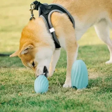 Youpin Pet Toy Automatisk Fodring af Hund Skål lækagesikre Kugle Is spill bolden Molar rengøring tænder Bære bid modstand